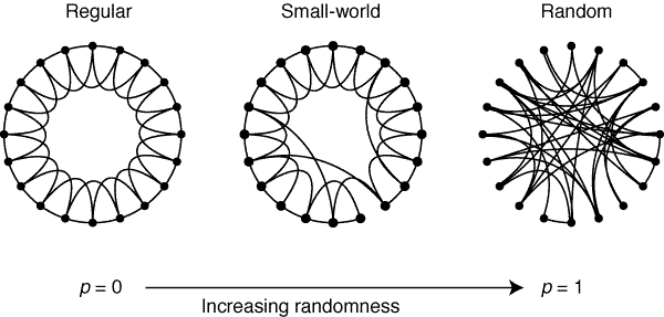 Example of small world network. Image from https://www.nature.com/articles/30918