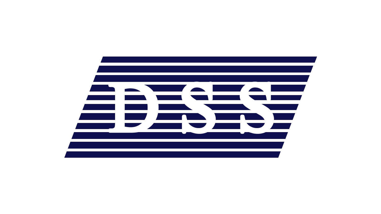 DSS Software Engineer
